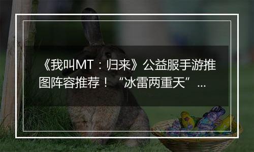 《我叫MT：归来》公益服手游推图阵容推荐！“冰雷两重天”炮姐羞花双核体系