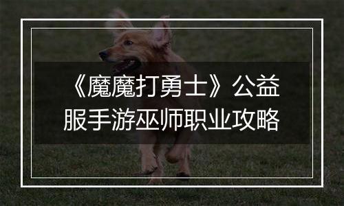 《魔魔打勇士》公益服手游巫师职业攻略