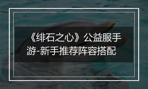 《绯石之心》公益服手游-新手推荐阵容搭配