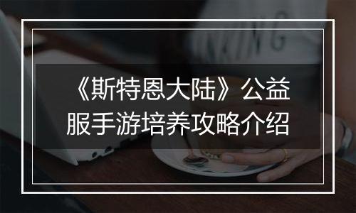 《斯特恩大陆》公益服手游培养攻略介绍