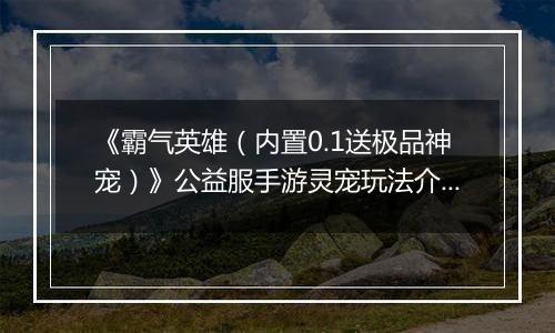 《霸气英雄（内置0.1送极品神宠）》公益服手游灵宠玩法介绍