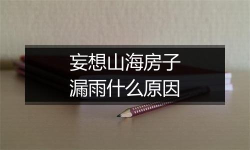 妄想山海房子漏雨什么原因