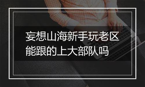 妄想山海新手玩老区能跟的上大部队吗