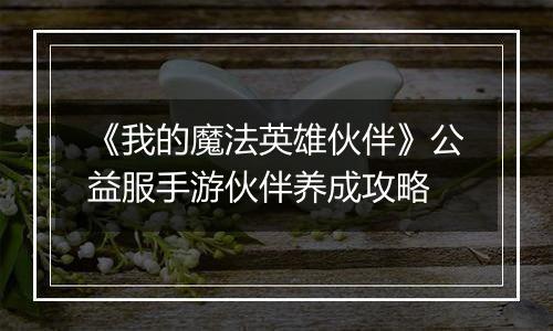 《我的魔法英雄伙伴》公益服手游伙伴养成攻略