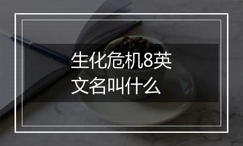 生化危机8英文名叫什么
