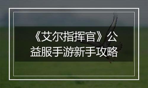 《艾尔指挥官》公益服手游新手攻略