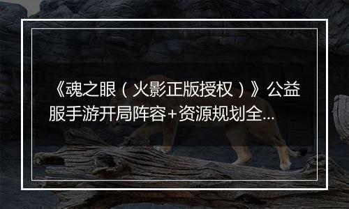 《魂之眼（火影正版授权）》公益服手游开局阵容+资源规划全指南
