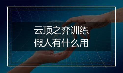 云顶之弈训练假人有什么用