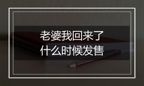 老婆我回来了什么时候发售