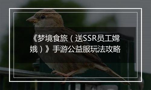 《梦境食旅（送SSR员工嫦娥）》手游公益服玩法攻略