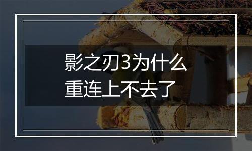 影之刃3为什么重连上不去了