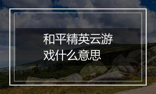 和平精英云游戏什么意思