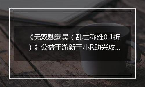 《无双魏蜀吴（乱世称雄0.1折）》公益手游新手小R助兴攻略