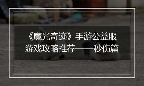 《魔光奇迹》手游公益服游戏攻略推荐——秒伤篇
