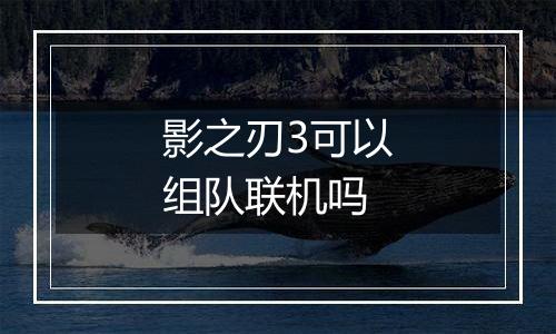 影之刃3可以组队联机吗