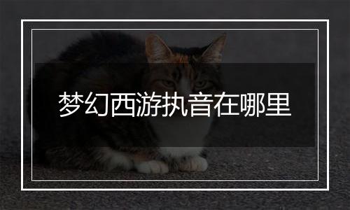 梦幻西游执音在哪里