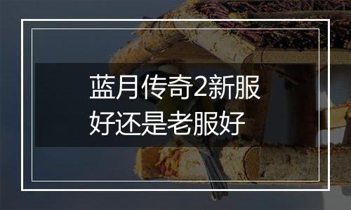 蓝月传奇2新服好还是老服好