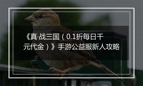《真·战三国（0.1折每日千元代金）》手游公益服新人攻略