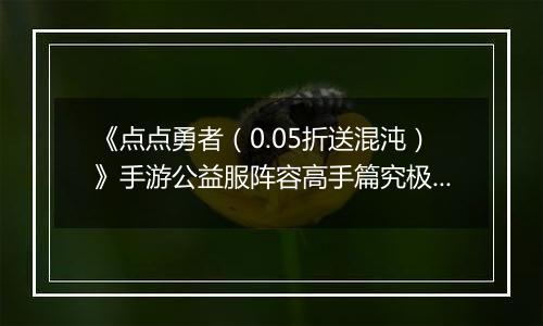 《点点勇者（0.05折送混沌）》手游公益服阵容高手篇究极篇