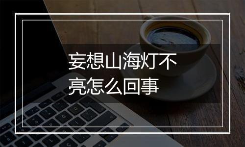 妄想山海灯不亮怎么回事