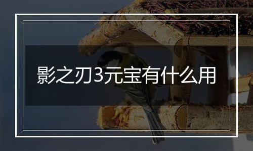 影之刃3元宝有什么用