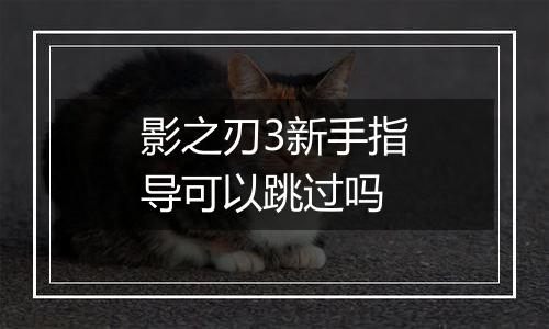 影之刃3新手指导可以跳过吗
