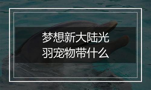 梦想新大陆光羽宠物带什么