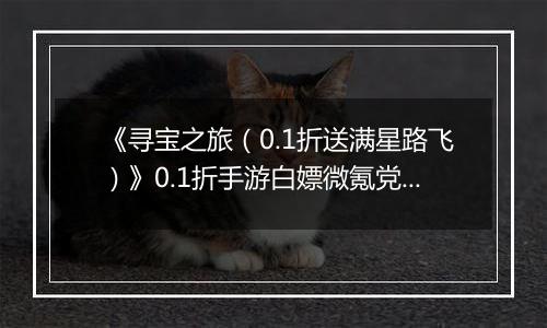 《寻宝之旅（0.1折送满星路飞）》0.1折手游白嫖微氪党阵容攻略