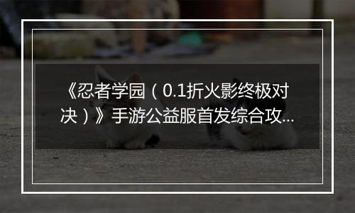 《忍者学园（0.1折火影终极对决）》手游公益服首发综合攻略