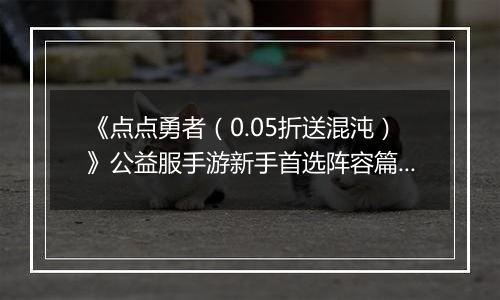 《点点勇者（0.05折送混沌）》公益服手游新手首选阵容篇之二