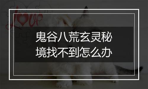 鬼谷八荒玄灵秘境找不到怎么办