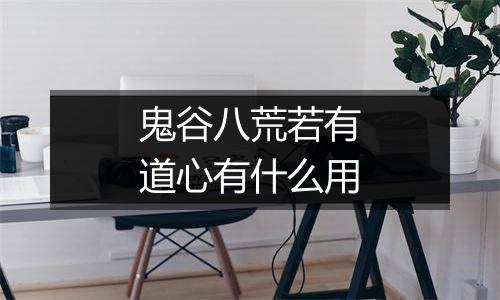 鬼谷八荒若有道心有什么用