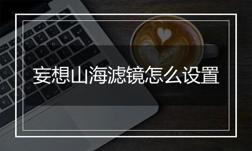 妄想山海滤镜怎么设置