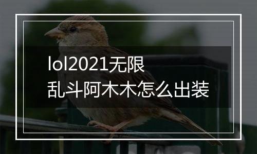 lol2021无限乱斗阿木木怎么出装