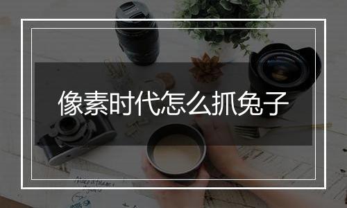 像素时代怎么抓兔子