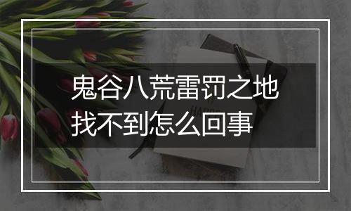 鬼谷八荒雷罚之地找不到怎么回事