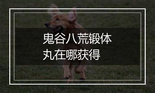 鬼谷八荒锻体丸在哪获得