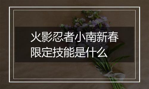 火影忍者小南新春限定技能是什么