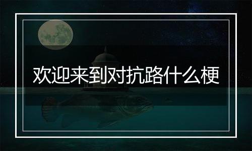 欢迎来到对抗路什么梗