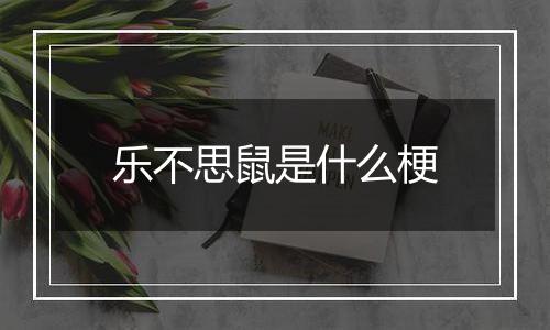 乐不思鼠是什么梗