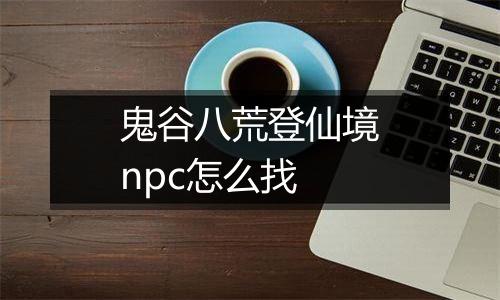 鬼谷八荒登仙境npc怎么找