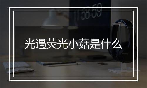 光遇荧光小菇是什么