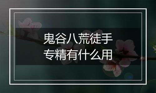 鬼谷八荒徒手专精有什么用