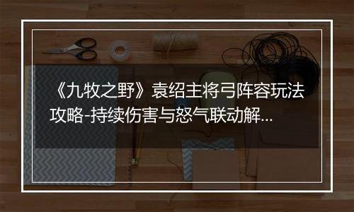 《九牧之野》袁绍主将弓阵容玩法攻略-持续伤害与怒气联动解析