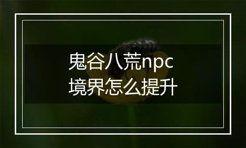 鬼谷八荒npc境界怎么提升