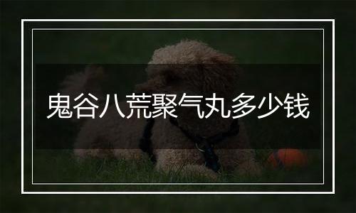 鬼谷八荒聚气丸多少钱