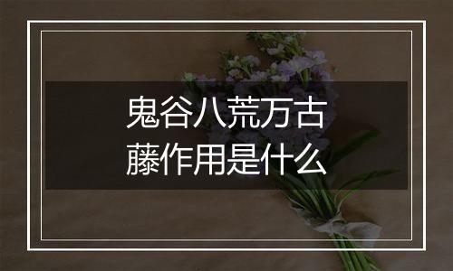 鬼谷八荒万古藤作用是什么