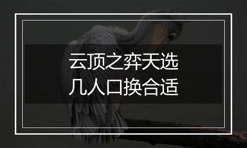 云顶之弈天选几人口换合适