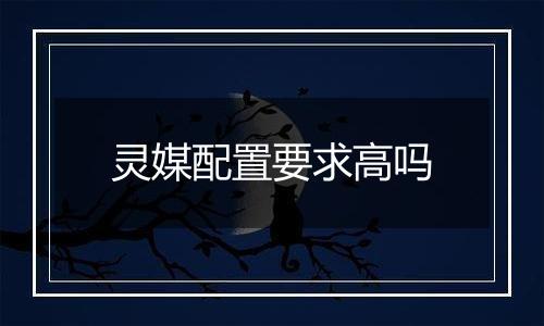 灵媒配置要求高吗