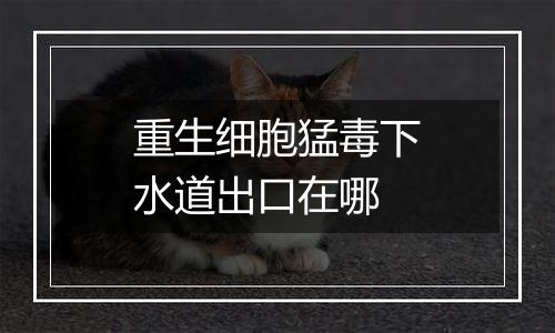 重生细胞猛毒下水道出口在哪